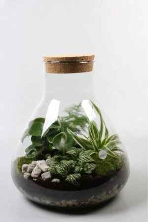 Terrarium 'Raindrop'