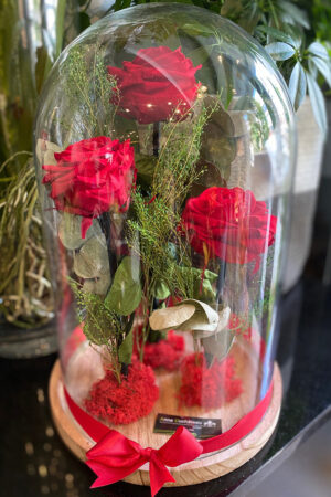 Eeuwige rozen onder stolp
