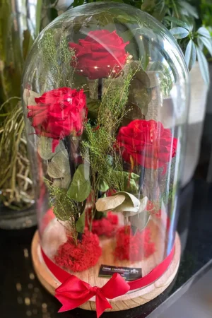 Eeuwige rozen onder stolp