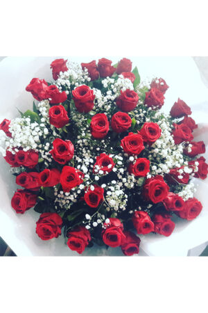 Amour toujours