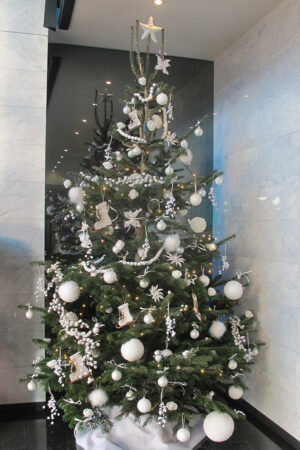 Sapin de Noël décoré (Nordmann)