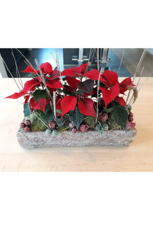 Poinsettia kerstbloemen arrangement