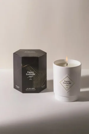 Bougie Figuier Ensoleillé