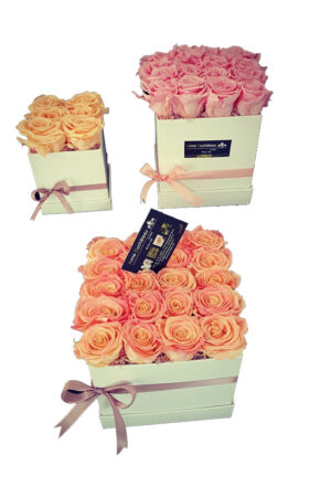 Box of eternal roses