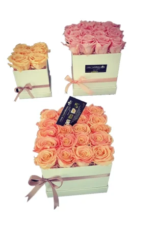 Coffret de roses éternelles en boîte blanche
