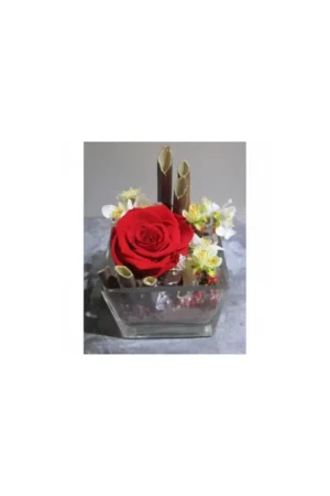 Rose unique dans vase carré