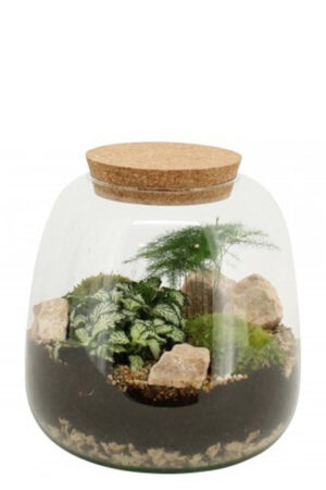 Terrarium 'Lightbulb'